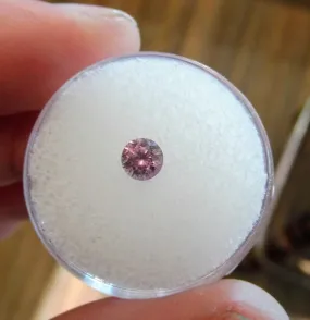 0.50ct STUNNING PINK MONTANA SAPPHIRE