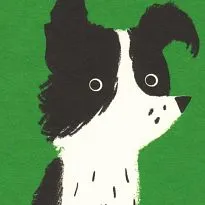 Collie card