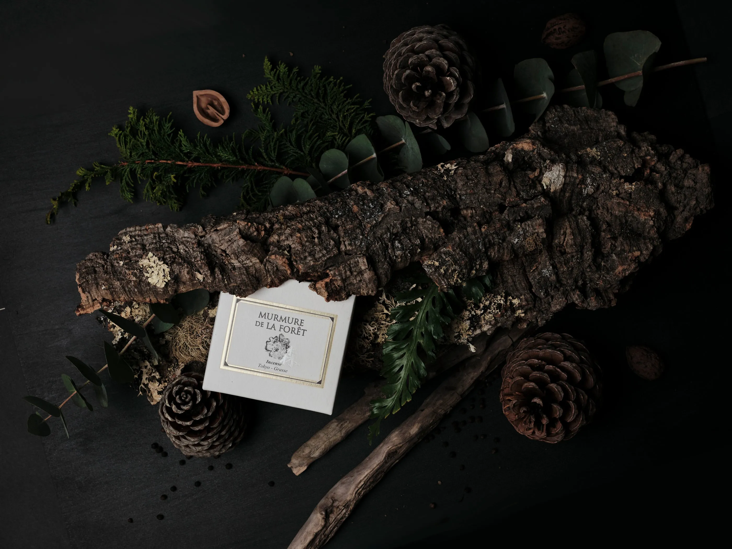 Incense Kit - MURMURE DE LA FORET - 65 pack